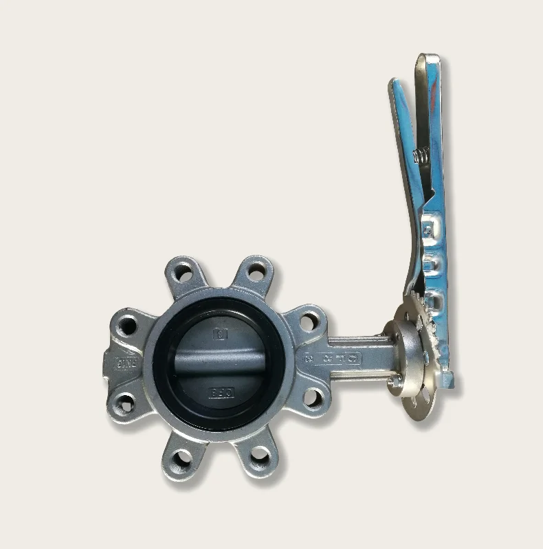 Stainless Steel  Centre Line Lug Type Butterfly Valve with Flange to ANSI125/ANSI 150/Pn10/Pn16/JIS 10K