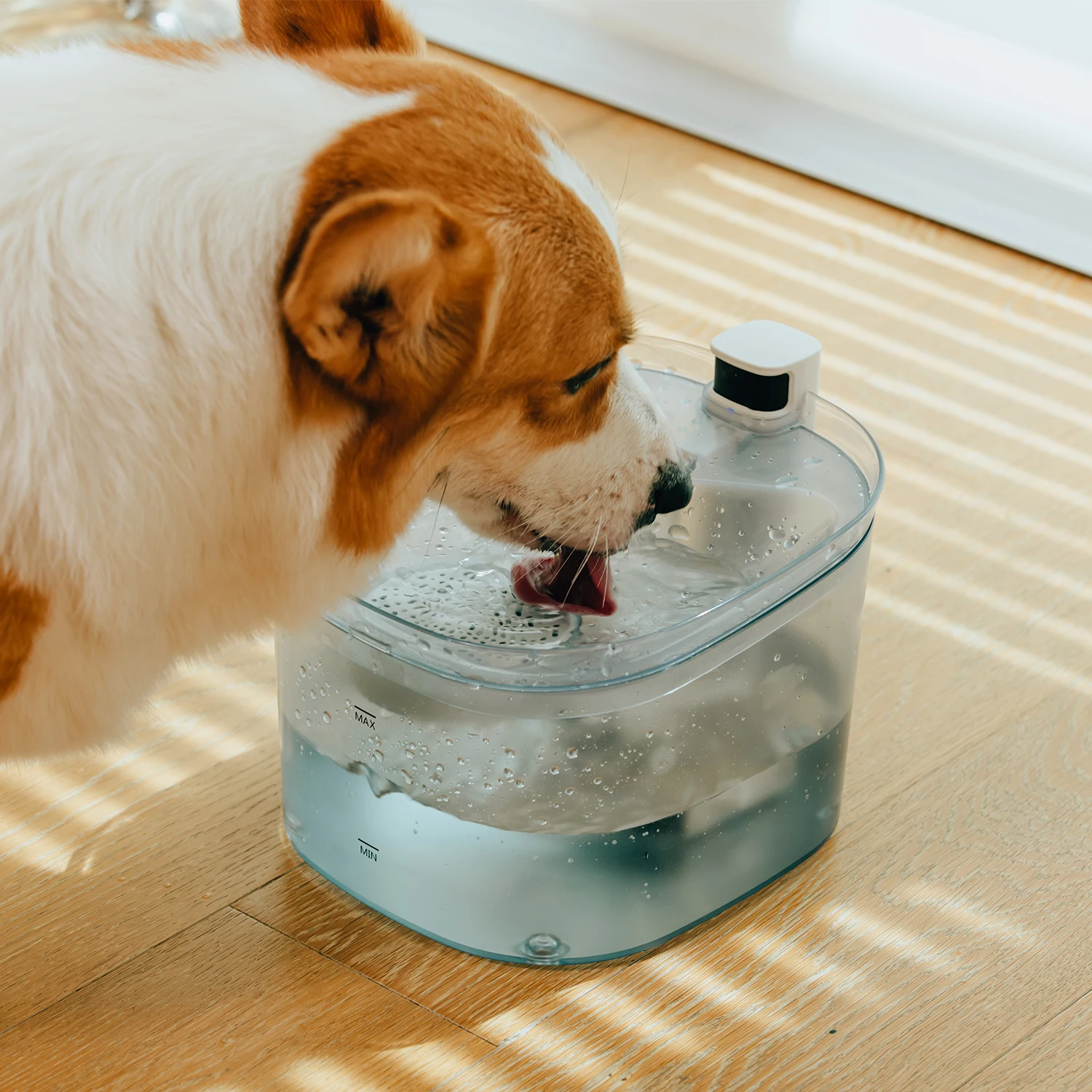 Pet Water Purifier Fountain Filter Feeder Dispenser Automatic for Dog Cat