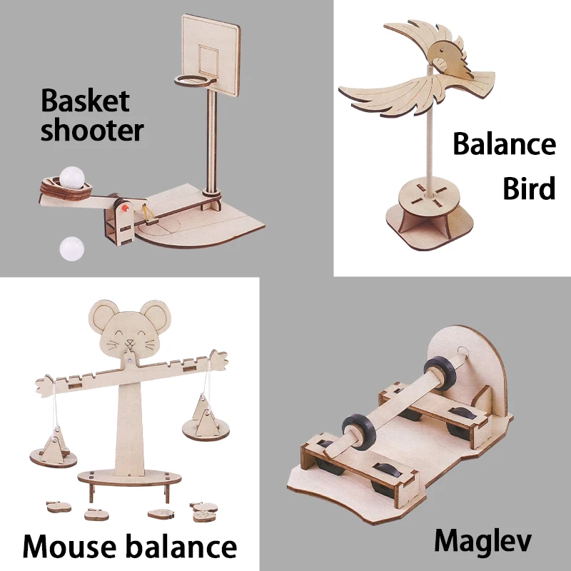10 in 1 Physical Mechanics Science Experiment Kit Wooden Educational Teaching Tools Stem Learning Kit for Primary School