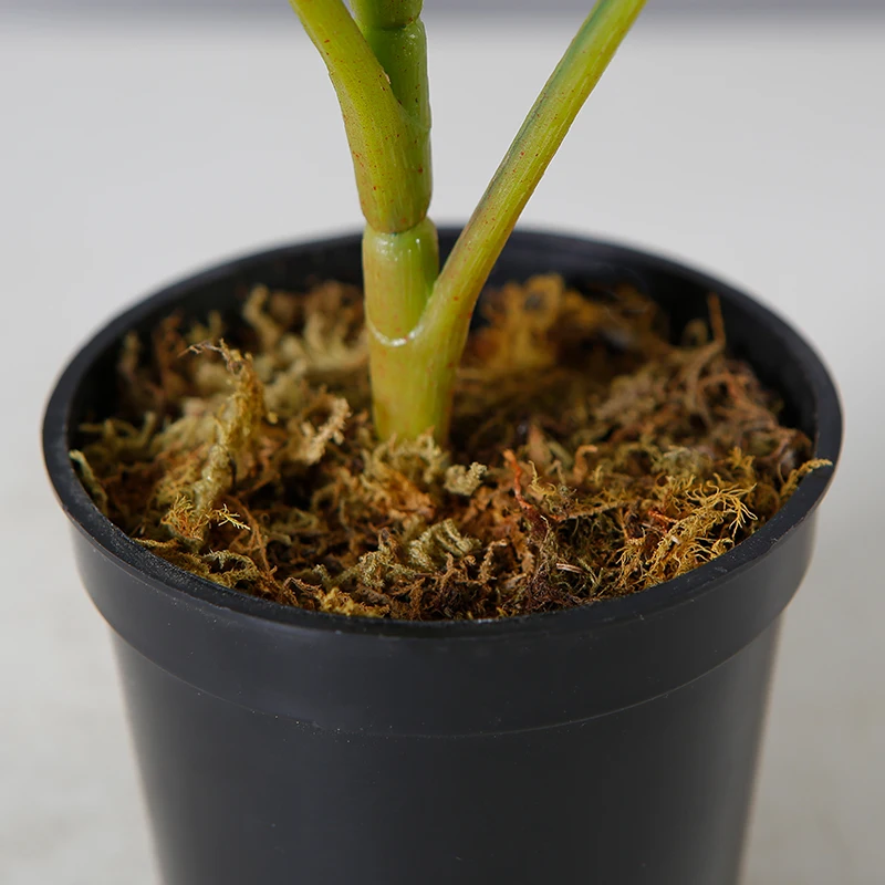 Оптовая продажа с фабрики, искусственное растение монстера бонсай, искусственное дерево монстеры восхитительной, 30 см