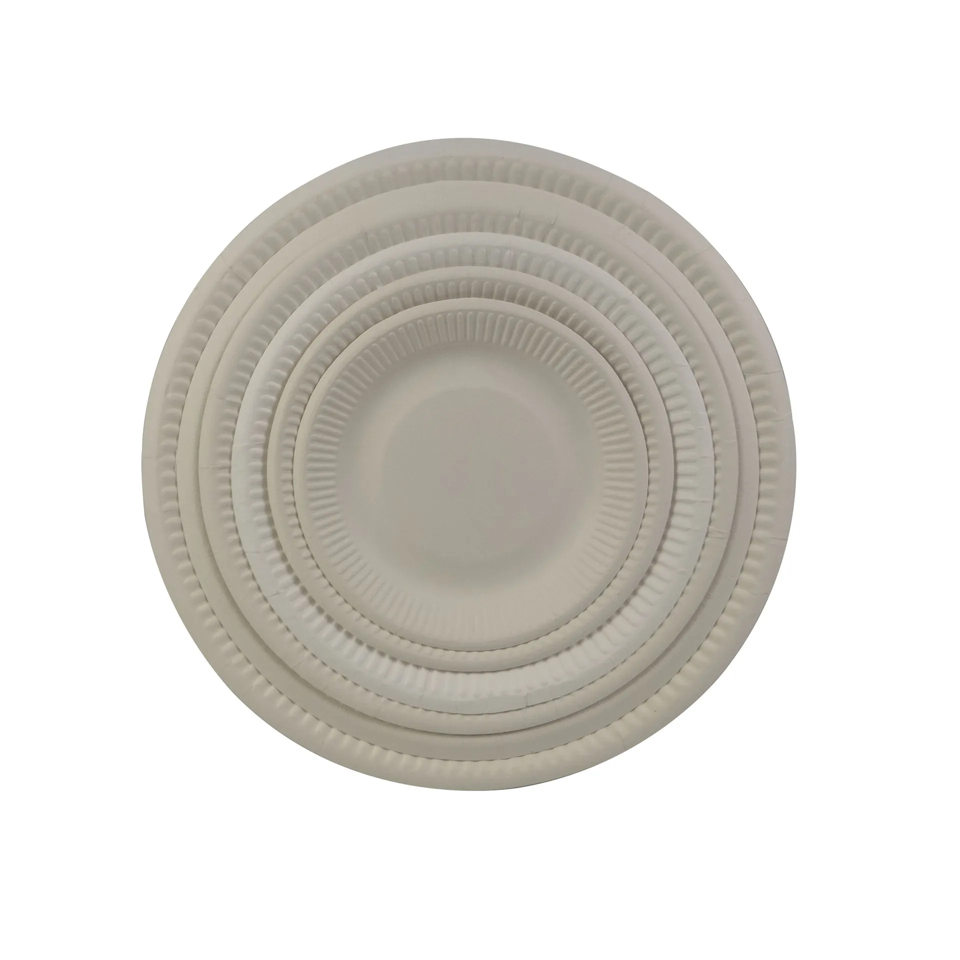 Fully Degradable Bagasse Eco Plate Disposable Cake Food Plate