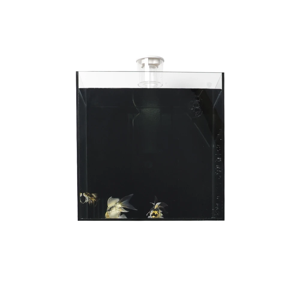 Desktop Ecological Small Aquarium Fish Tank Mini Aquarium Transparent Fish Tank For Sale
