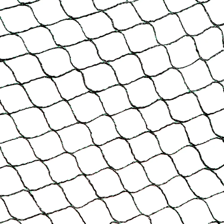 China Agricultural Bird Mist Nets Anti Netting For Garden Catch