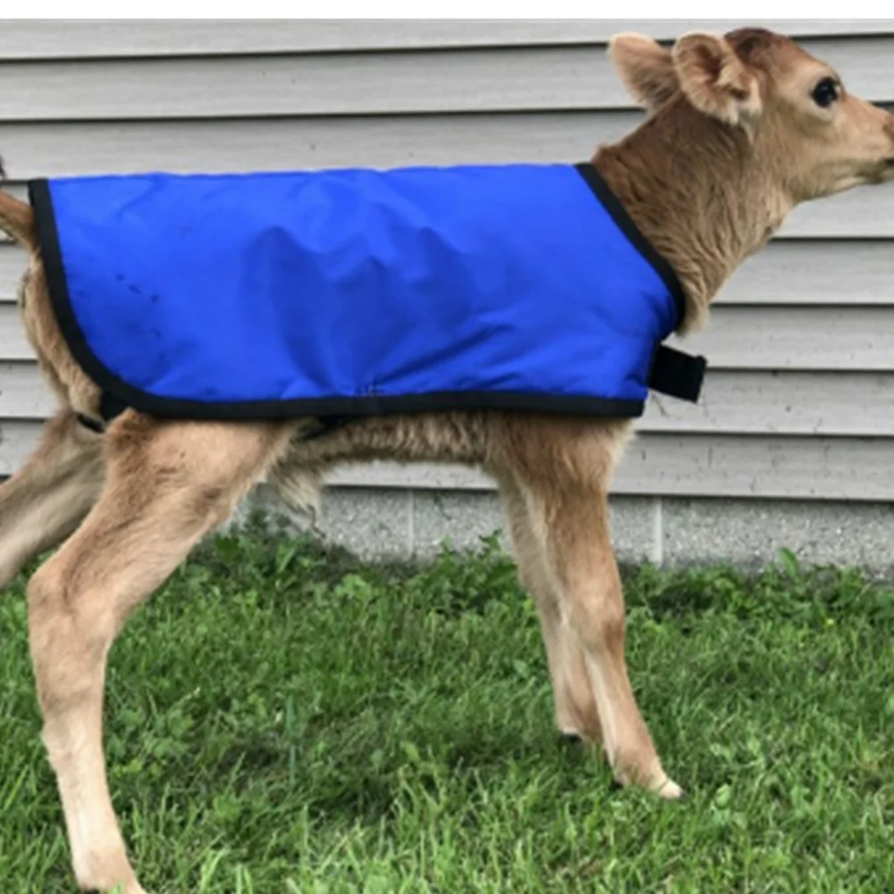 Breathable Warming Goat Coat Sheep Cover Sheep Blanket