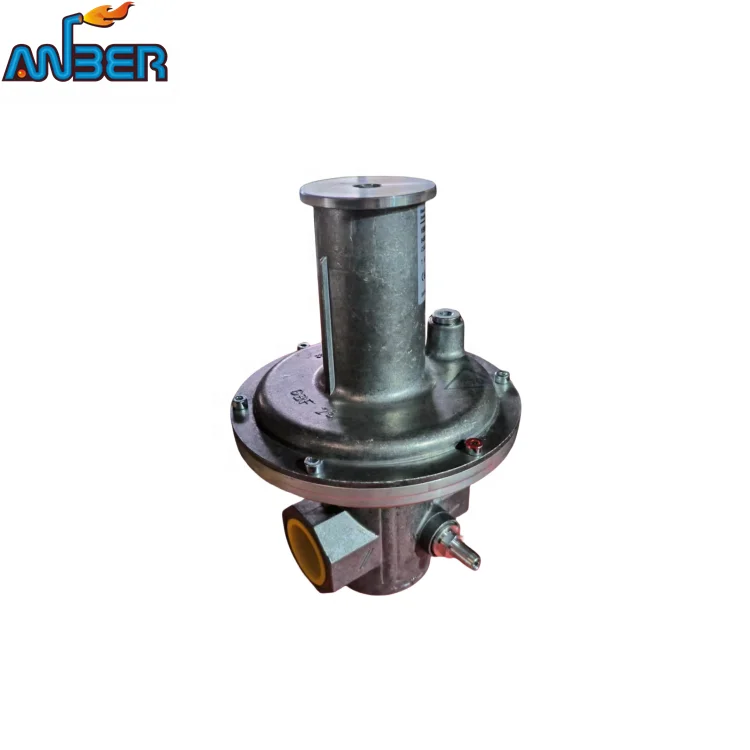 2024 KromSchroder 304 stainless steel  German valve