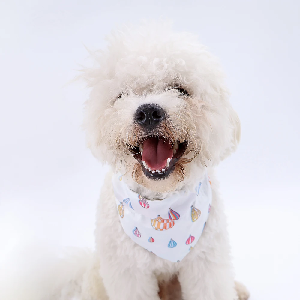 00:02 00:26  View larger image Add to Compare  Share Manufacturer wholesale design pattern printed cotton pet accessories dog ba