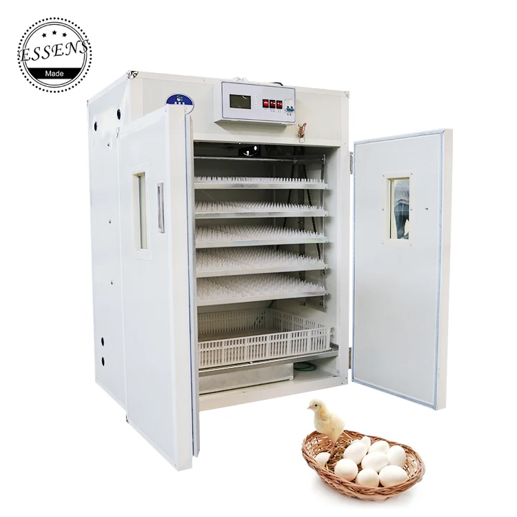  Инкубатор для куриных яиц с большой скидкой 880
