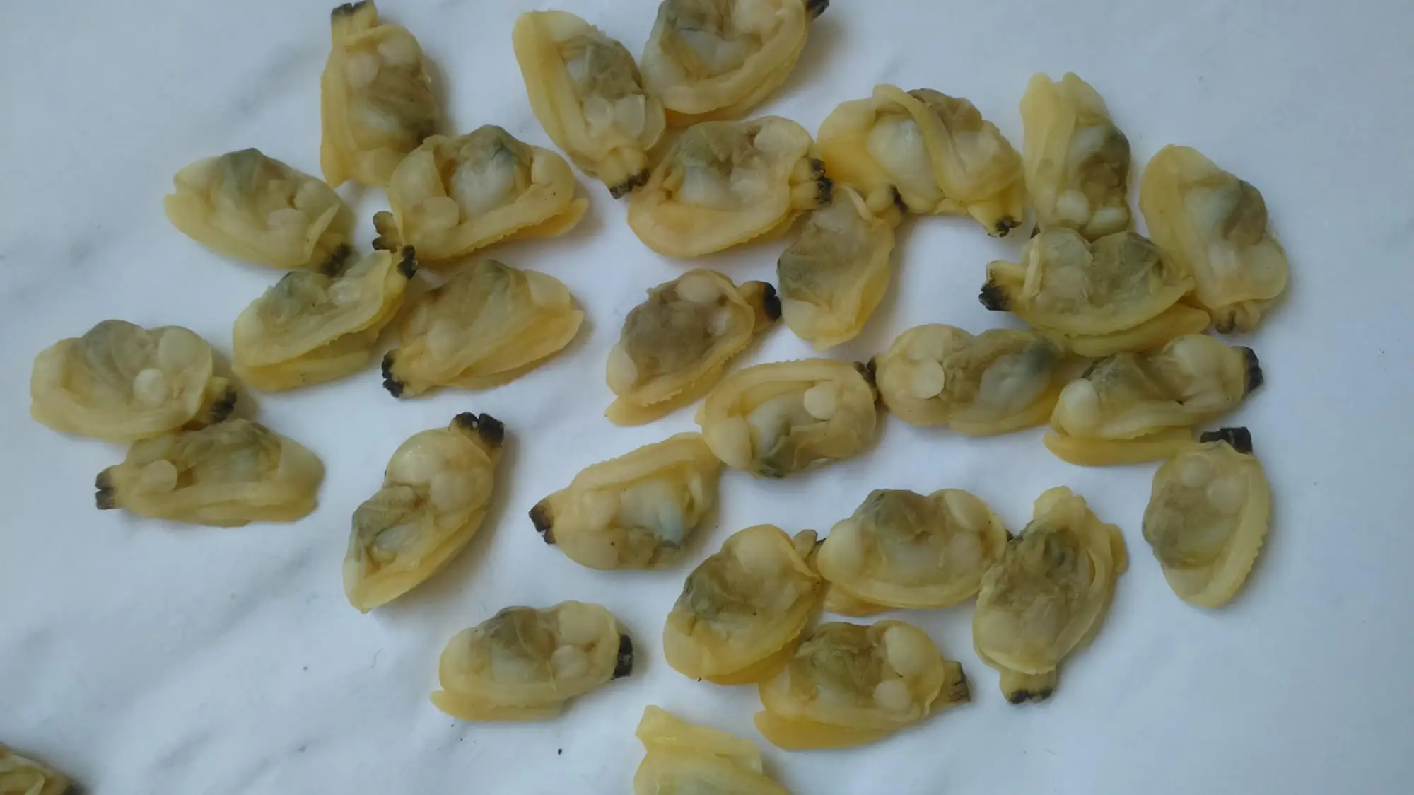 
New season Frozen boiled baby clam meat IQF 