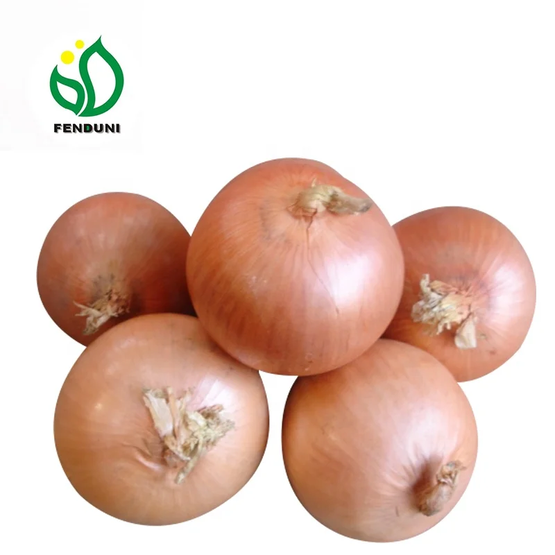 
2021 Chinese Onion Supplier 