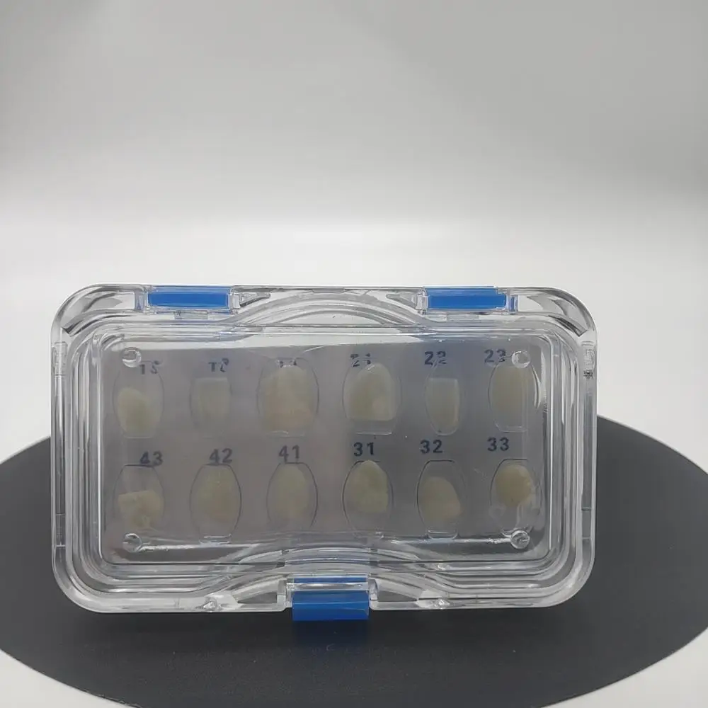 Big stocks Plastic Clear  Elastic Dental Veneer Membrane Box for 12pcs Veneer Packing