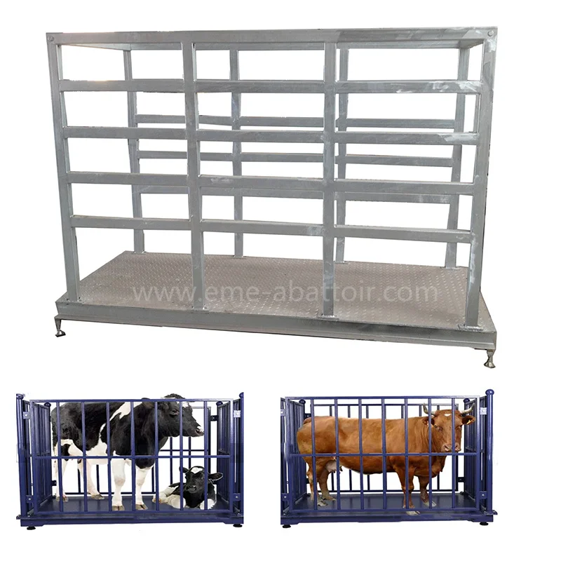 Full Automatic Halal Cow Slaughterhouse Equipment Bovine Weight Scale Cattle Abattoir for Beef Processing Line