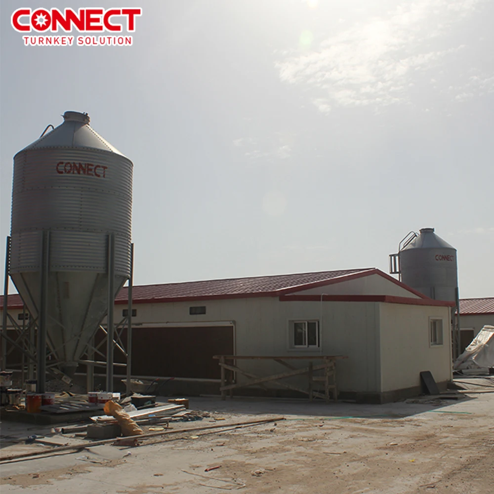 50000 Poultry Complete Set Broilers Shed Automatic House Feeding Husbandry Plant Equipment Chicken Farm Line System Machine