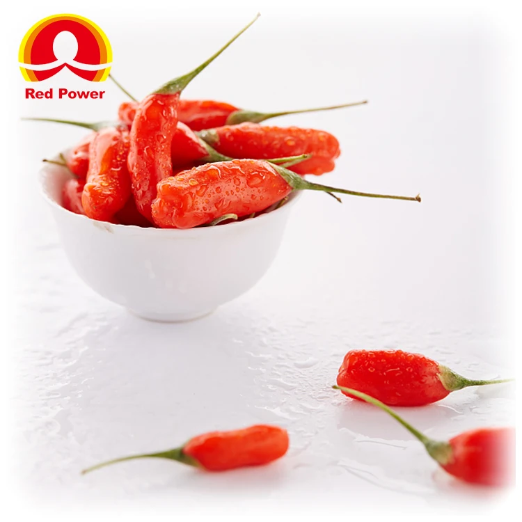 Red Power QIZITO aldi a lexportation noir baie de goji bio goji berries,organic wolfberry goji berrie s dried
