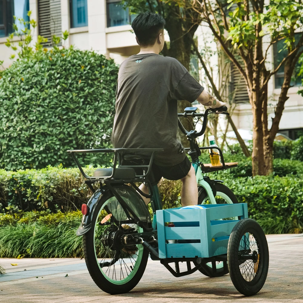 Step Through City Ebike Sidecar Cheap Price Electric Tricycle Children Seat Side car 250w for Sale