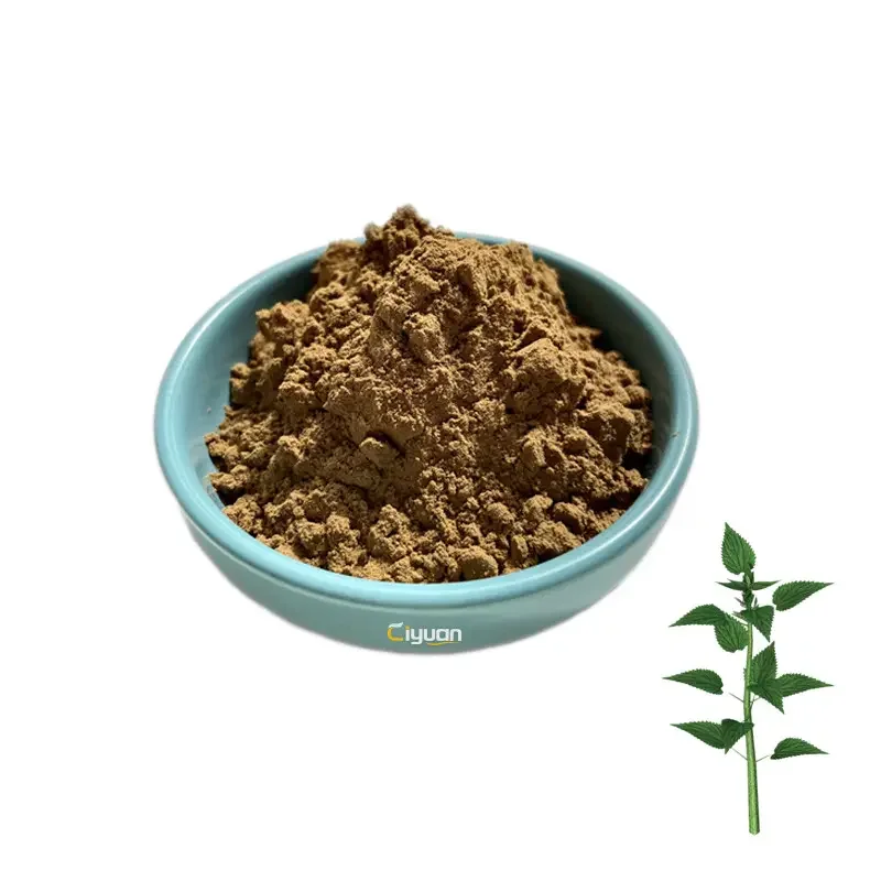Natural Herbal Products Stinging Nettle Root Extract Powder 10:1 20:1Nettle Leaf Extract