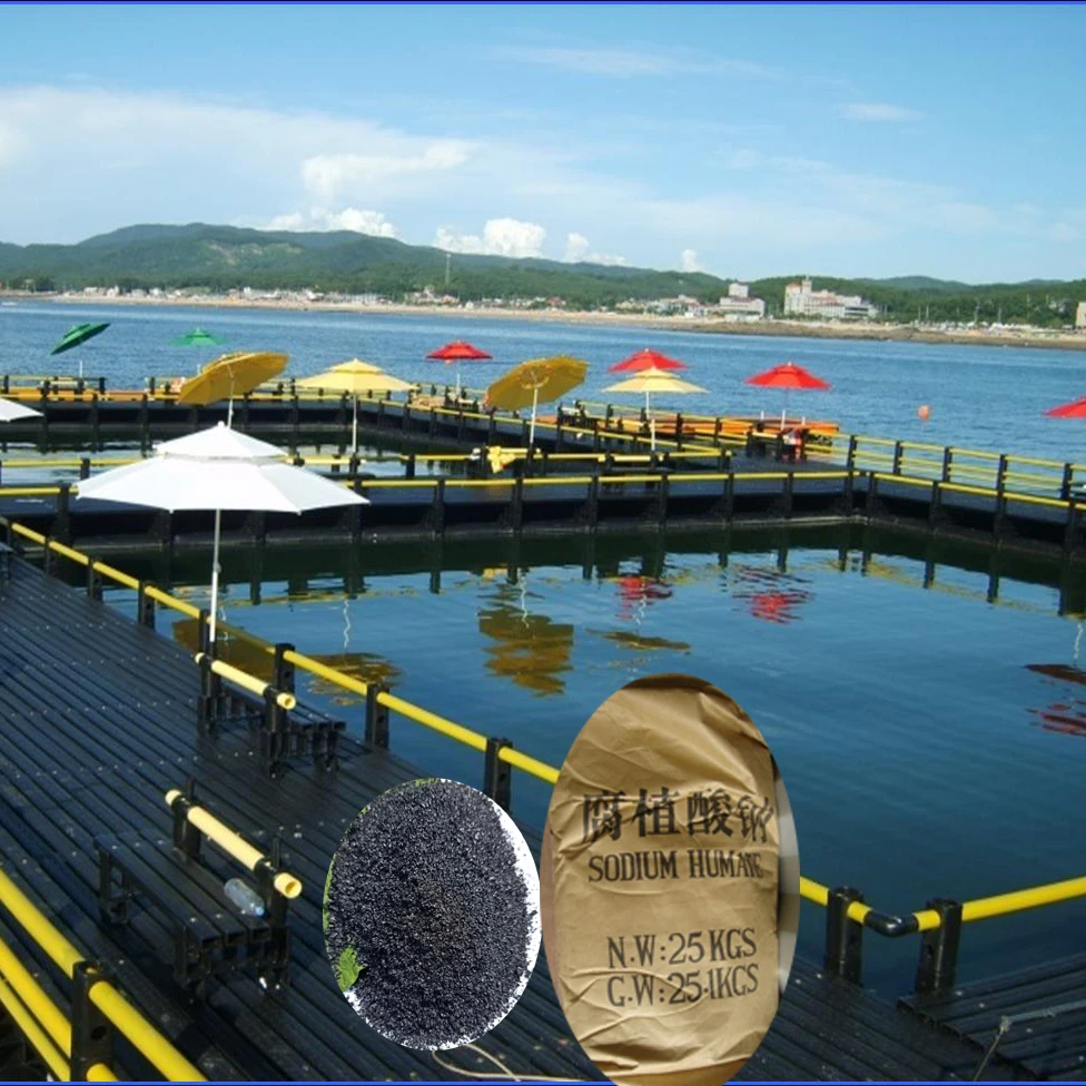 High purity  Sodium Humate 65% Sodium humate for aquaculture shiny flake