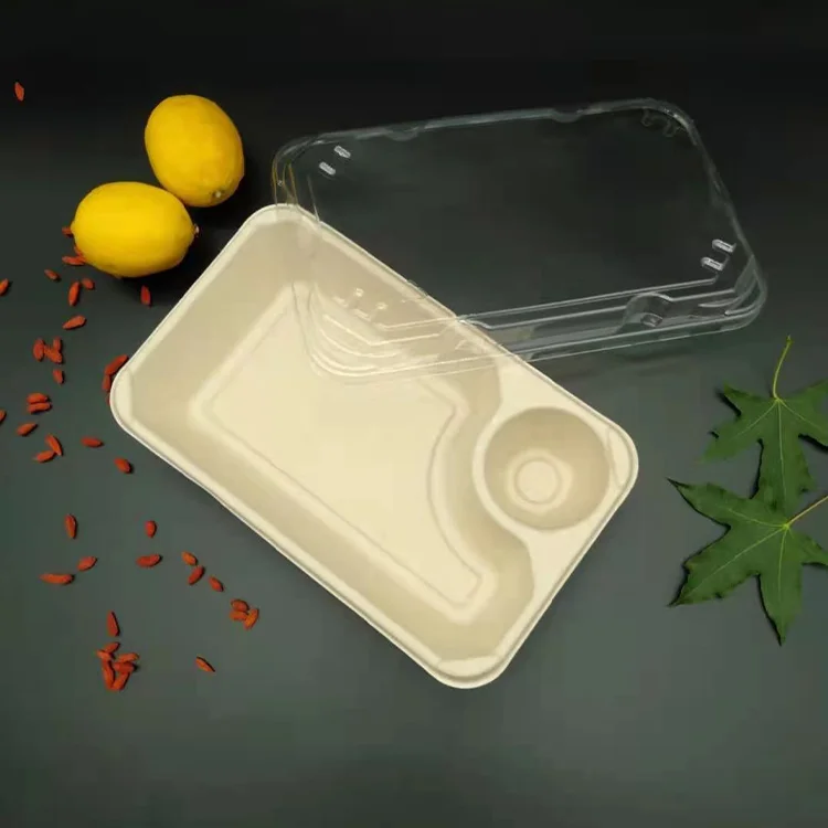 Food Grade Biodegradable Water Proof Sugarcane Bagasse Food Takeaway Container
