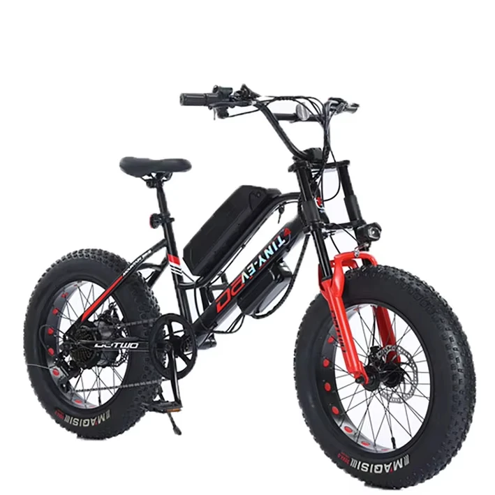 20 Inch  Electric Bicycle Fat Tire Power Assisted Bicycle Beach Lithium Electric Snowmobile
