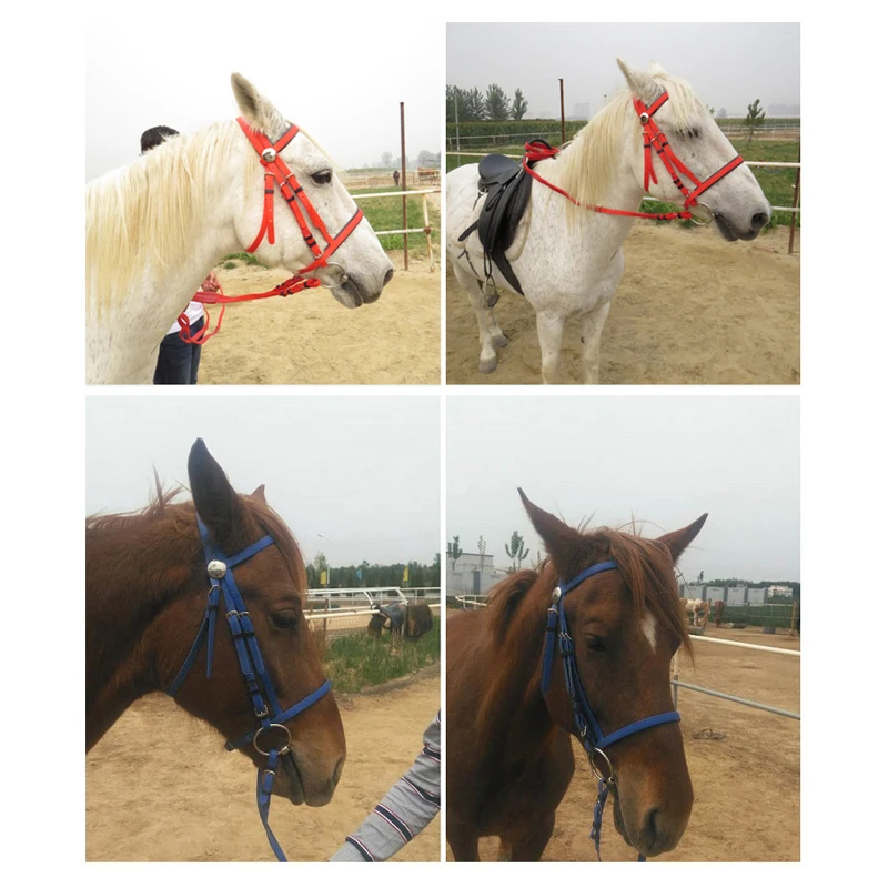 Custom Made Affordable Horse Tack or Equipment - Drop Shipping Available