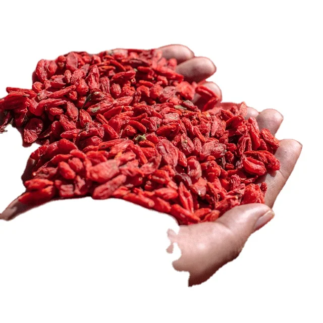 2023 update 100% Dried Fruits Wolfberry china factory Dried Goji Berry Fruits