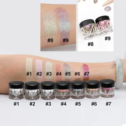 Single Bottle Neon Colors Eyeshdow Powder Private Label Makeup Duochrome Chameleon Loose Pigment Eyeshadow