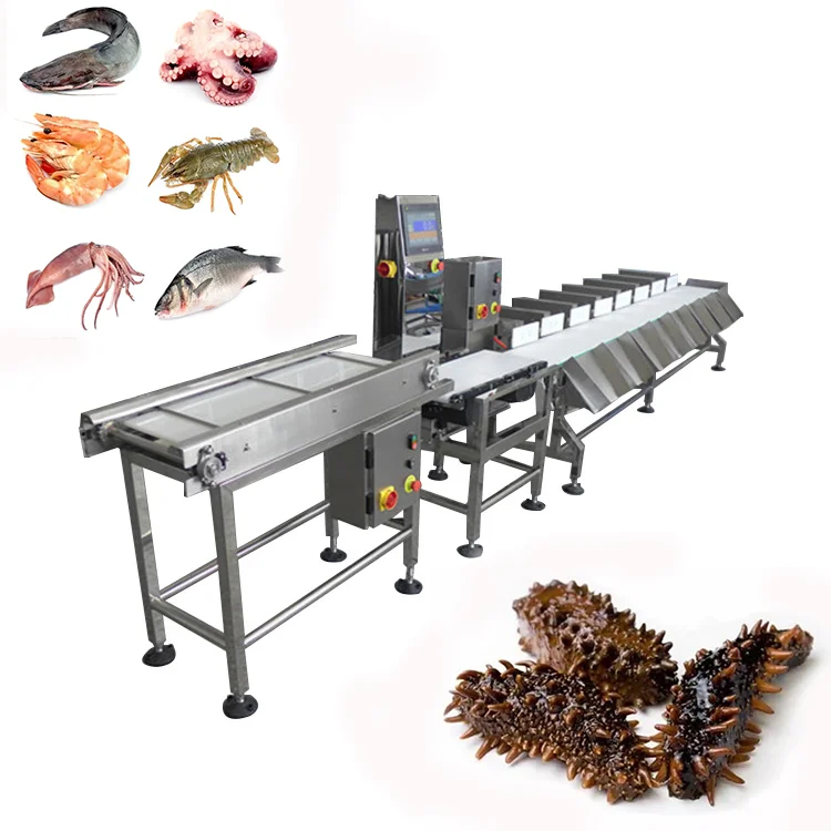 Stainless Steel High Speed Checkweigher shrimp Fish Fillet Classification Automatic Machine Weight Sorter
