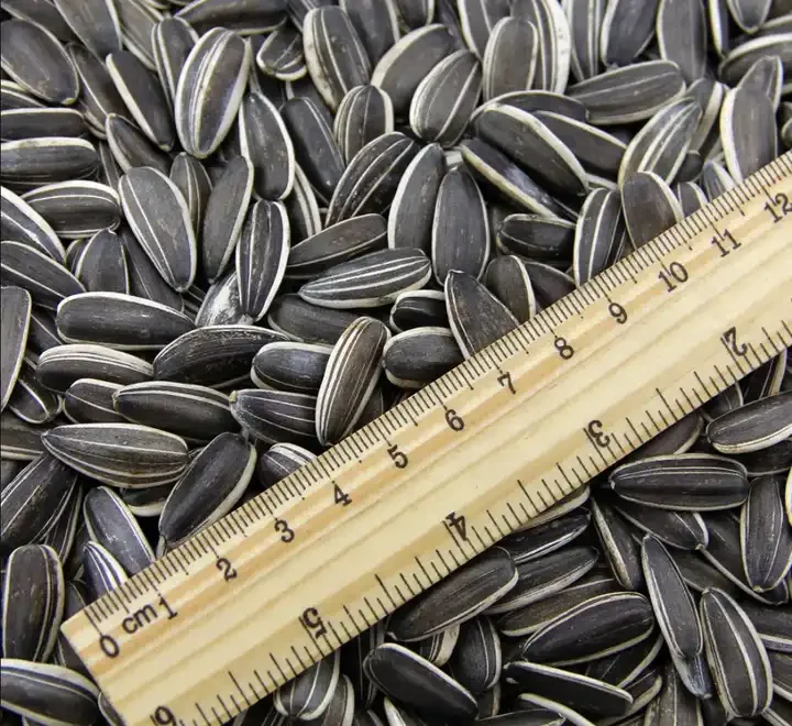 Wholesale High Quality Raw Agricultural Sunflower Raw Seeds Cheap Organic Sunflower Seeds