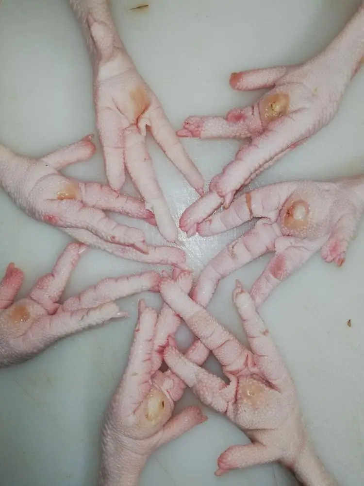 
chicken feet , chicken paw 