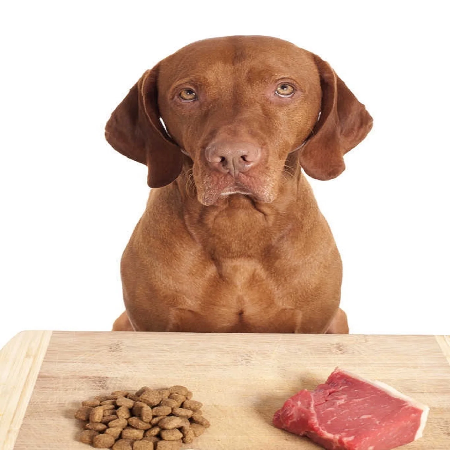 
OEM ODM Adult Dog Food Large Granule Muscle Flour Dog Food Hundefutter. Makanan anjing Alimenti per cani Comida 