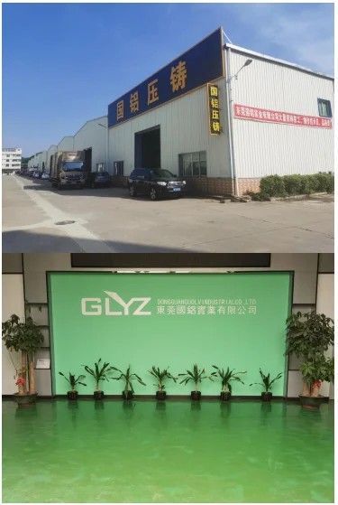 Company Information.png