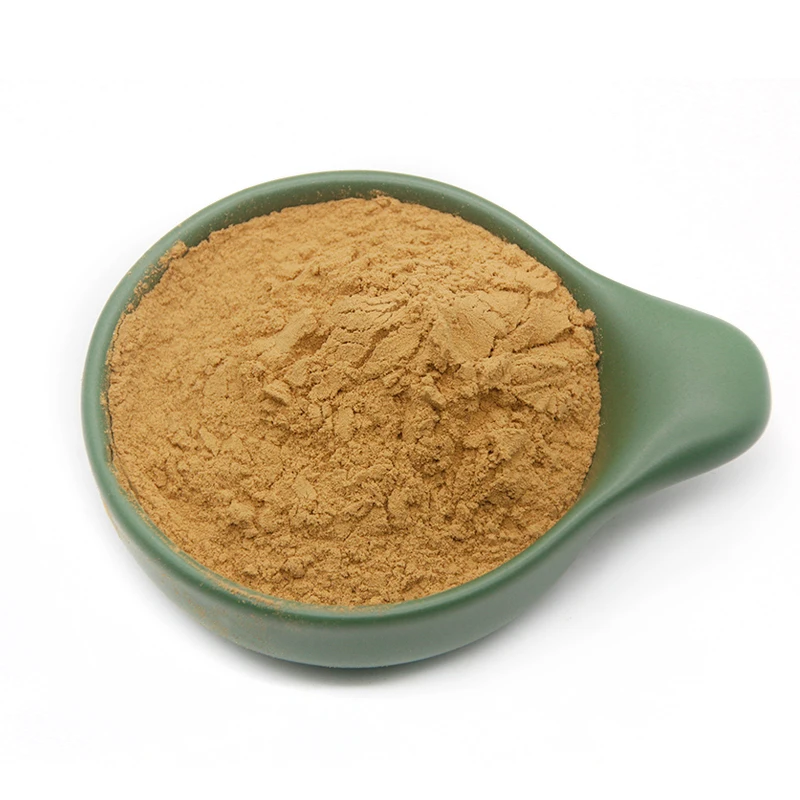 Private Label Mushroom Blend Oyster Mushroom Extract Powder