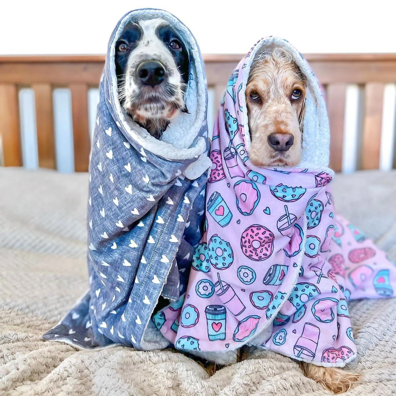 Personalized Design Size Custom Dog Blanket Print Flannel Fleece Dog Blanket