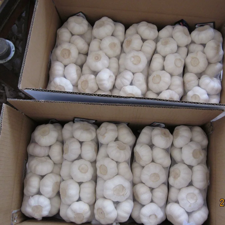factory price fresh normal white garlic for wholesale with GLOBAL GAP Chinese fresh garlic in 10kg/20kg  Ready to ship in 7 days