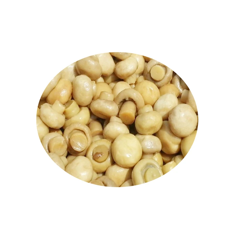 High Quality Canned Whole Mushroom Champignon in Conserva