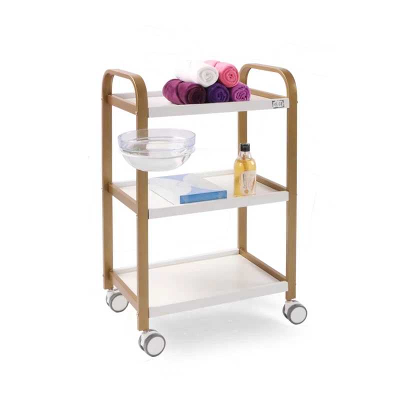 High Quality Packing Beauty Salon Drawer Trolley Cheap Salon Trolley Salon Hair Color Trolley