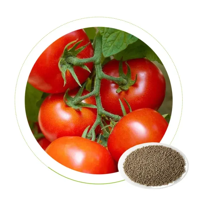 DAP Diammonium Phosphate Agriculture Fertilizer 18-46-0 Factory Price