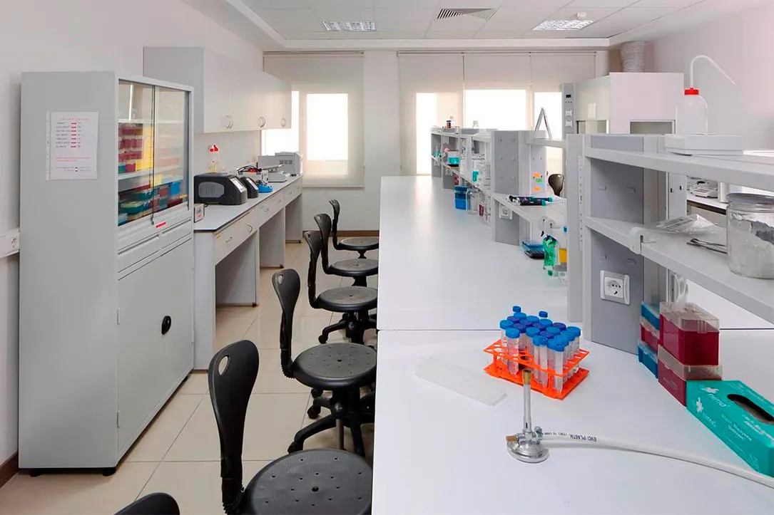 High Quality Laboratory Furniture Equipment Center Chemistry Lab Work Bench For Physics Science Biology Study Lab Table
