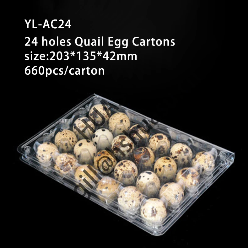 Customizable clear quail egg Cartons for farm use 30mm in diameter  With 12  24 30 Holes  plastic Quail Egg container