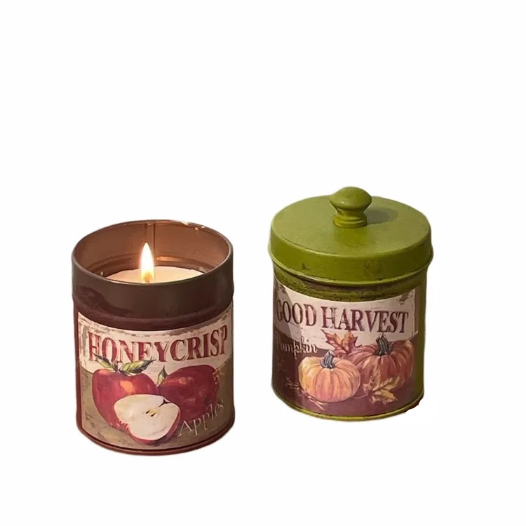 Home Bedroom Novelty Fragrance Decoration Birthday Gift Canned Aromatherapy Candle with Cover