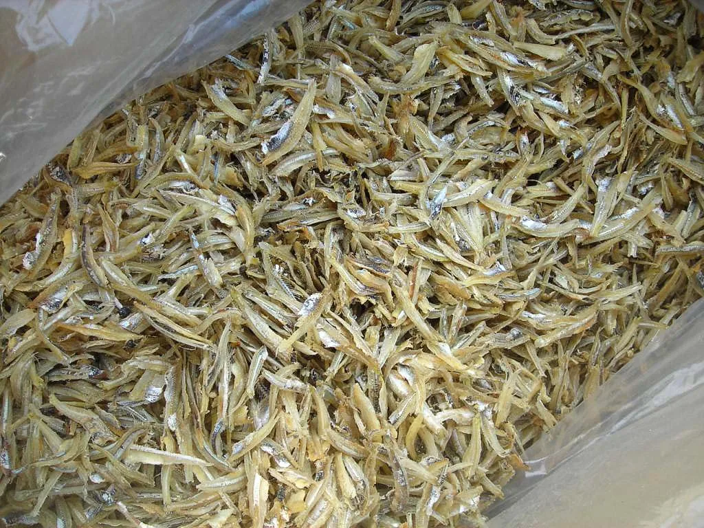 Vietnam Dry Anchovy fish anchois Whole, Headless, Split Anchovy good price - WHATSAP: 0084 989 322 607