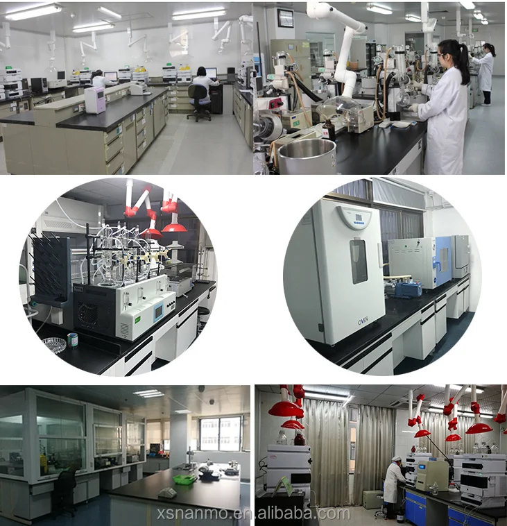 Dried Herbal Root Panax Ginseng Extract Powder