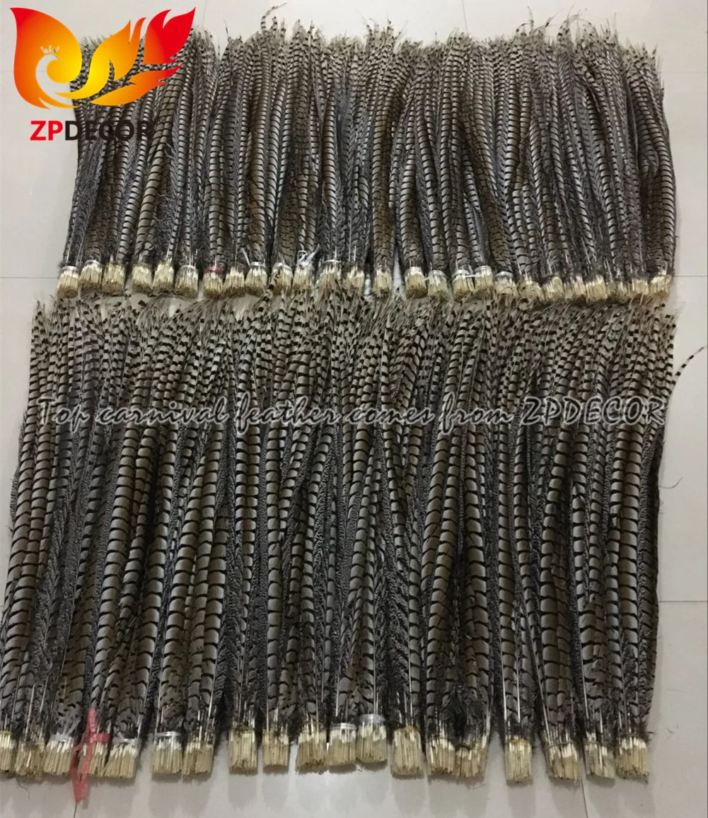 ZPDECOR Real Shipping to Customer Mix Size and Colors Lady Amherst Pheasant Tail Feather for Carnival Costumes Design