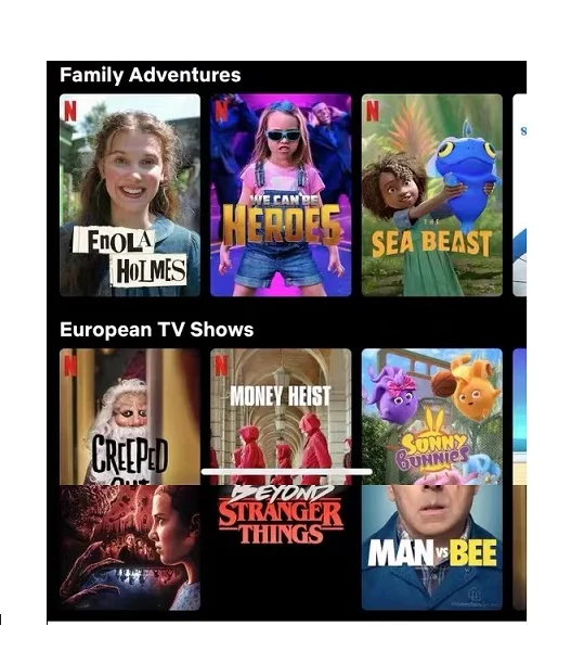 Netflix account premiumn netflix account 1 year germany