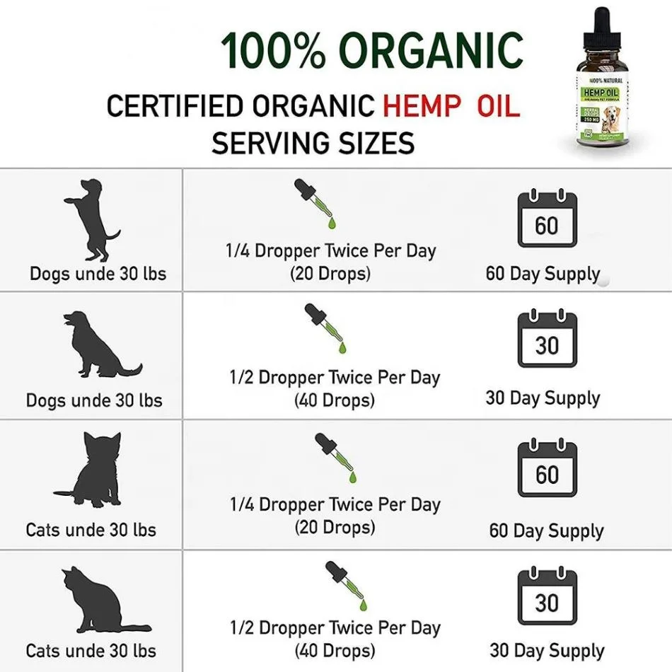 
12 Year Factory Free Sample Custom Label Organic Natural Extract hemp cbd Oil Vegetable Oil King 