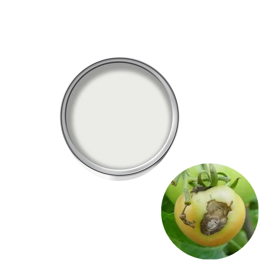 
Agrochemicals Pyrimethanil 32%+Fludioxonil 8% SC for Gray Mold 