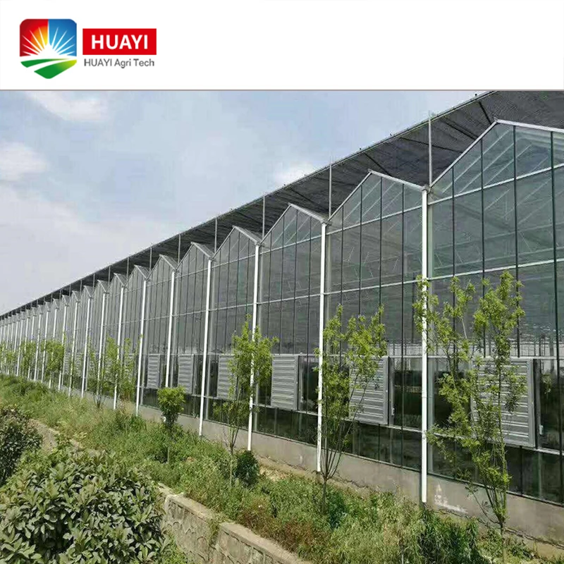 Large span commercial PC Sheet Greenhouse agriculture buy from China best price