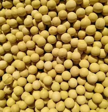 Высококачественные сушеные вакуумные NON-GMO соевые бобы доступные продукты без ГМО желтые