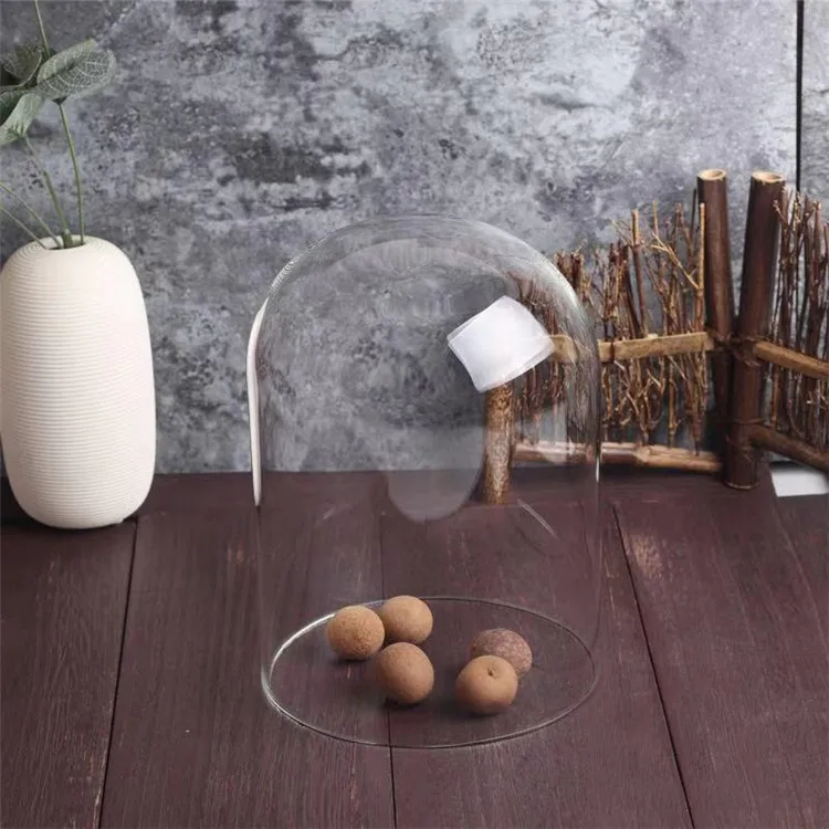 Custom Mini Terrarium Glass Dome with Wooden Cork Base for Hdisplay Decoration