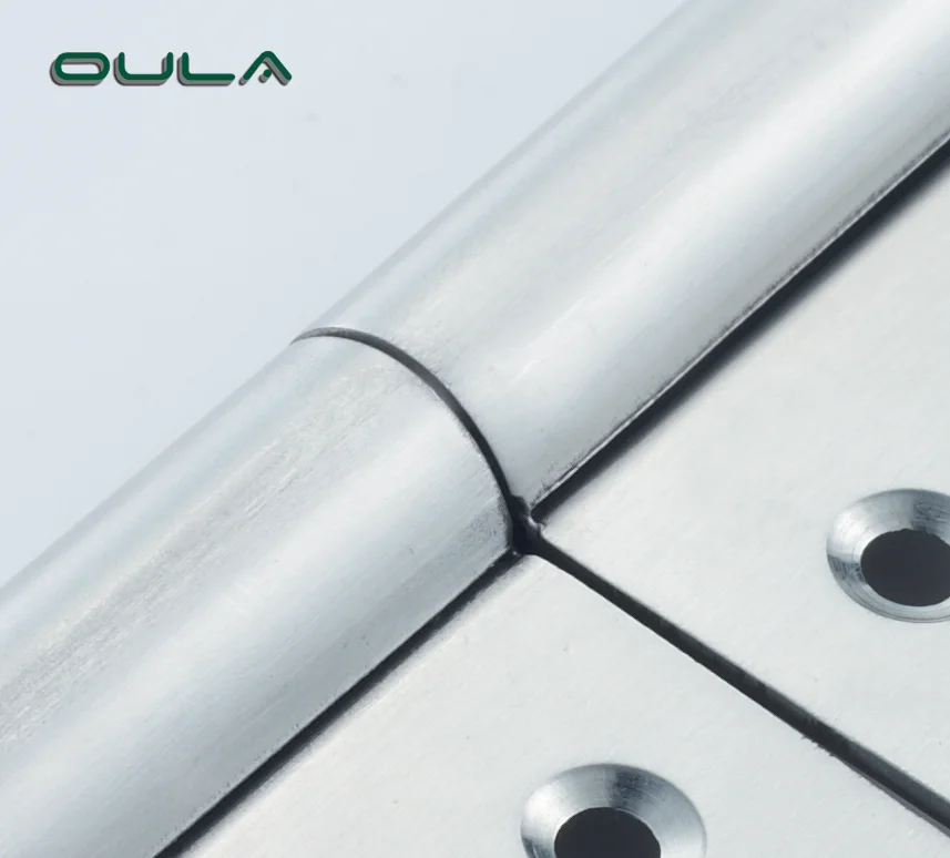 OEM manufacturer hot sale heavy duty 201 stainless steel ball bearing flag door hinges 5 inch door hinges