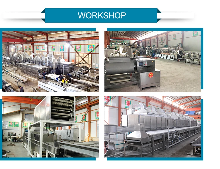 Custom whole grain corn dry noodle making noodles manufacturing make commercial fresh rice noodle machine